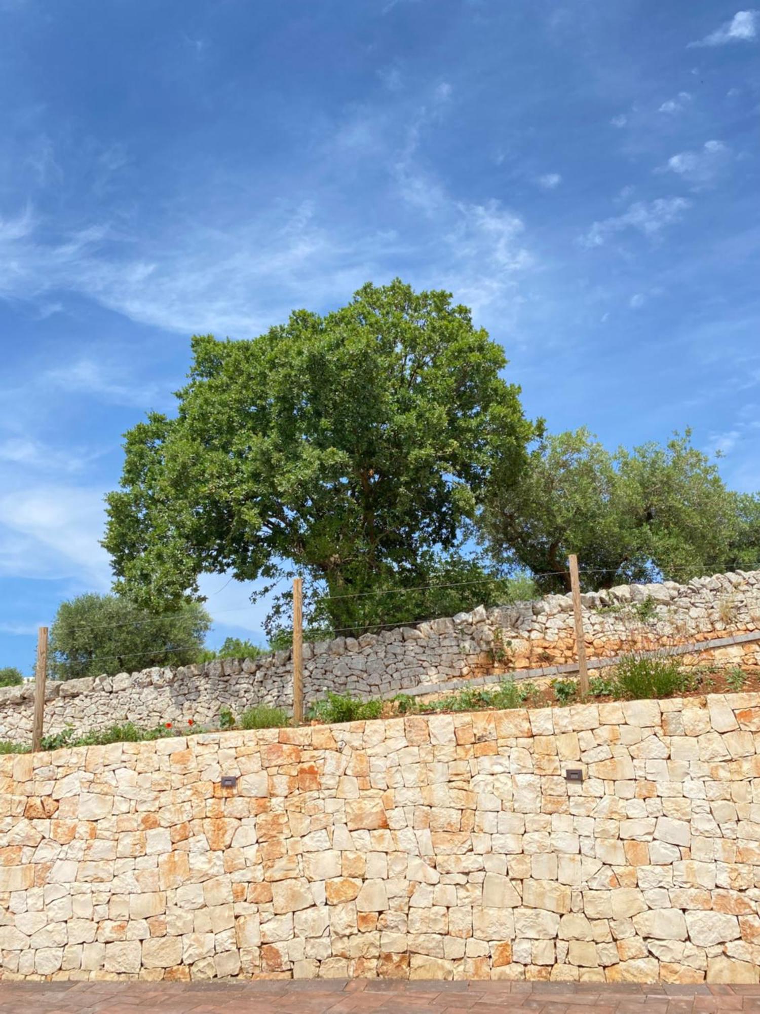 ロコロトンドTrulli Mbs By Apulia Hospitalityアパートメント エクステリア 写真