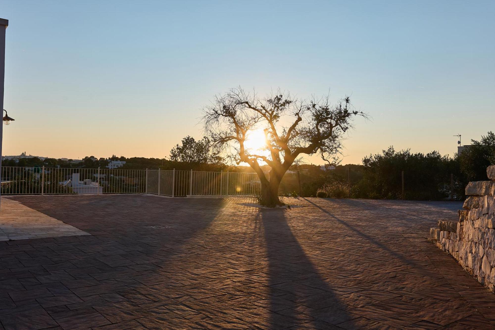 ロコロトンドTrulli Mbs By Apulia Hospitalityアパートメント エクステリア 写真